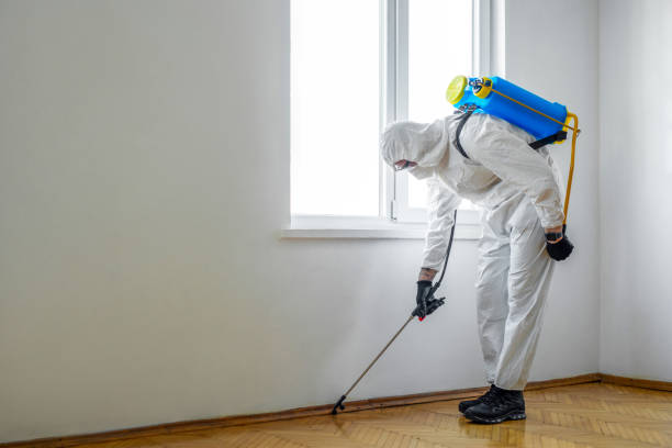 Best Pest Removal Services  in Churchill, OH