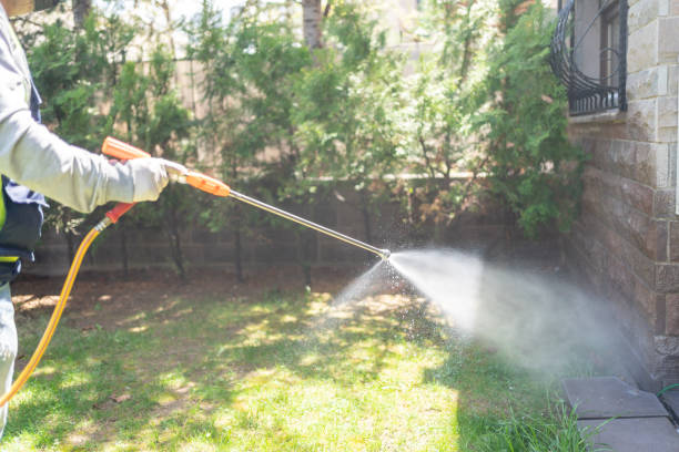 Best Termite Control Services  in Churchill, OH